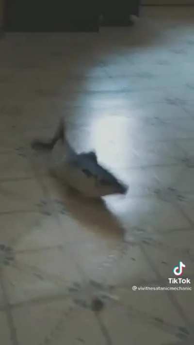 Kevin