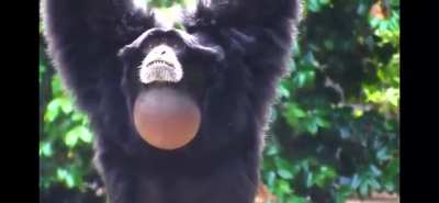 When you stub your toe and it takes your brain a second to register the pain