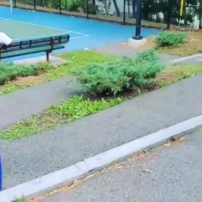 Drive-by Shooting
