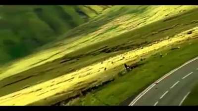 guy falls off cliff while in a motorcycle race