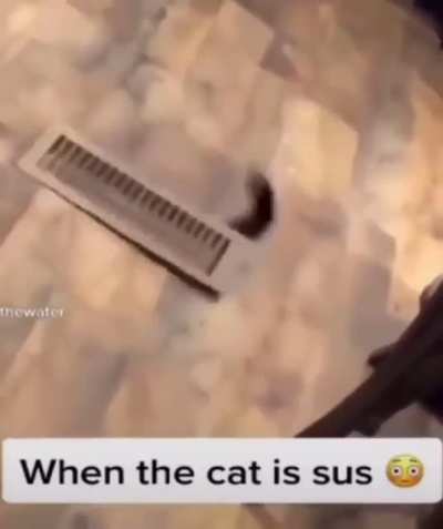 ¦¦¦¦¦¦¦¦¦