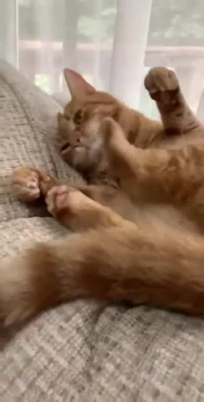 why are you hitting yourself?