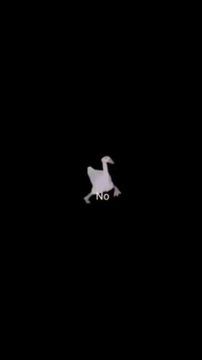 No