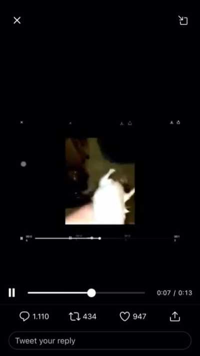 Man fucking at rat lol (twitter)