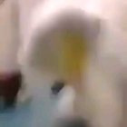 peepoHappy Hi