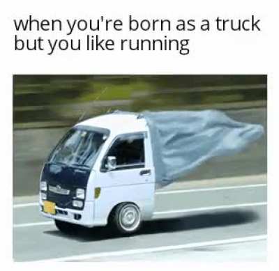 follow your dreams