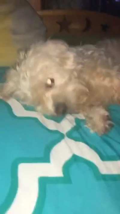 Nom