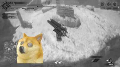 I'm sorry Doge :(