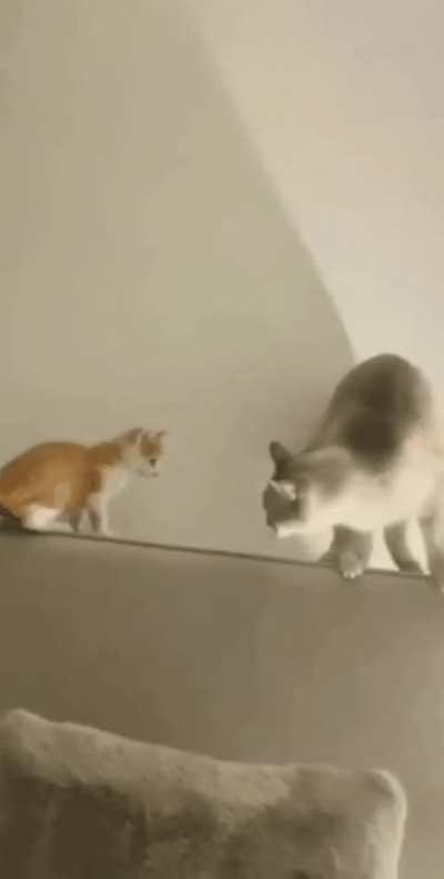 When you act like a pussy
