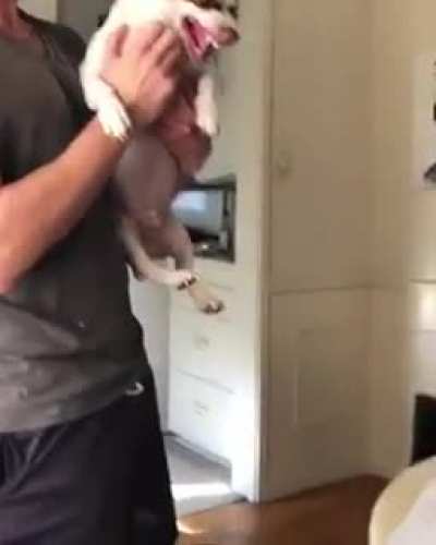Mister Bubz, calm down!