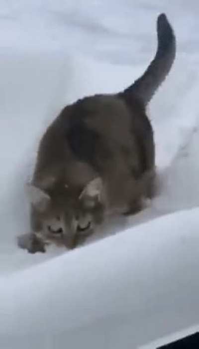 Maybe maybe maybe