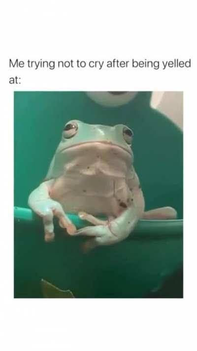 2meirl4meirl