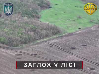 High-<wbr>resol<wbr>ution drone footage of the Ukrainian 