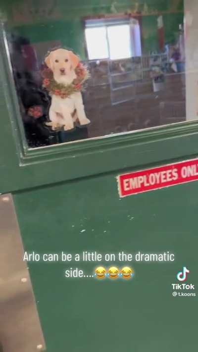 How tf does a dog make that sound?!