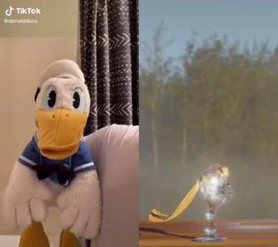 THE HAMMER LOST ALL PHYSICS! 🦆🔨 (vid by @donaldducc on TikTok)
