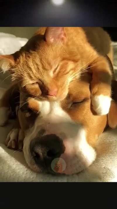Adorable moments