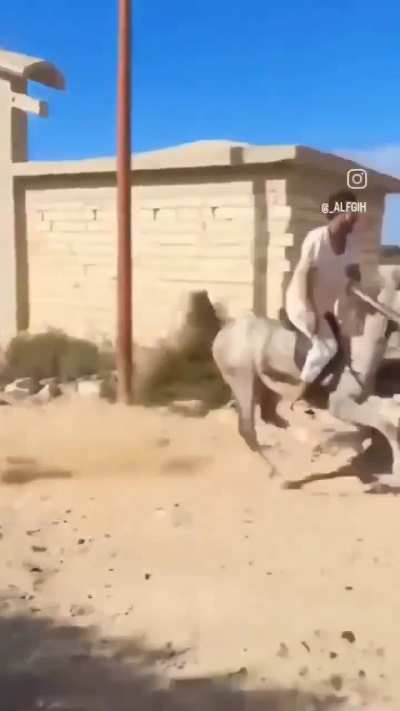 WTF...😂😂