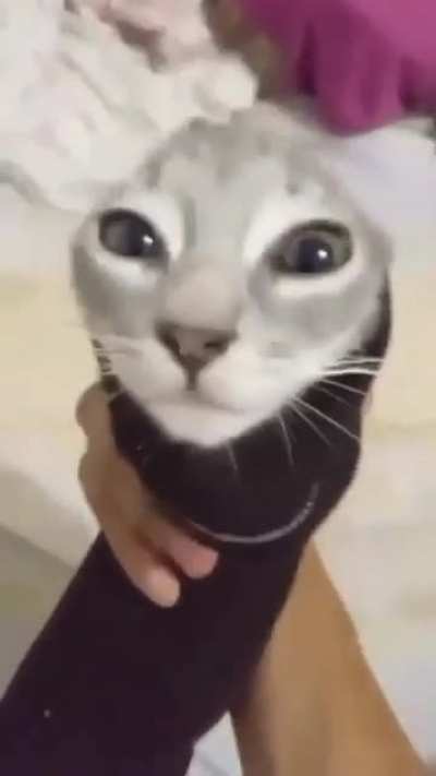 Socked Wunker