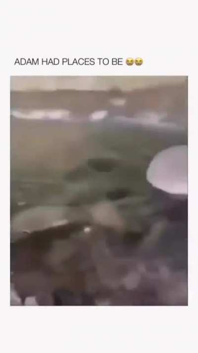 adam!!