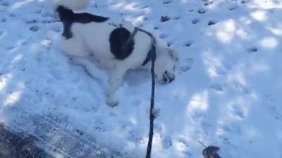 Snow angel