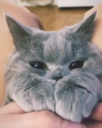 Baby face