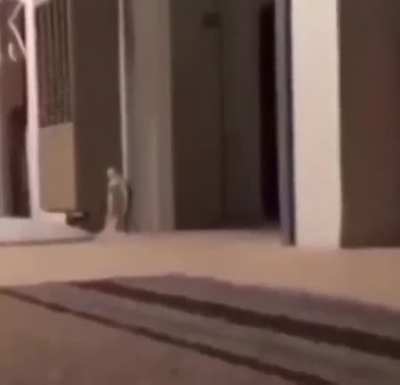 Who's standing near the corner?