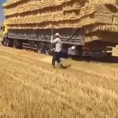 Hard work in turkey