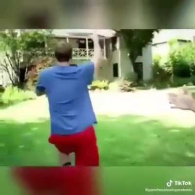 ._.XD