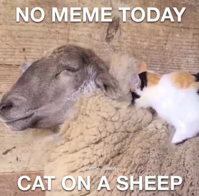 rule