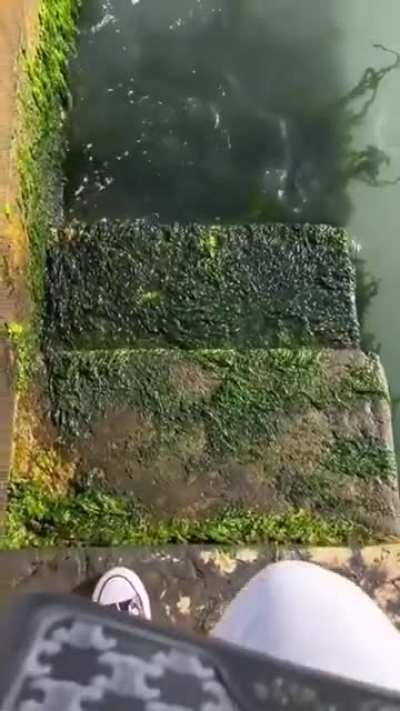 Stairs to Atlantis