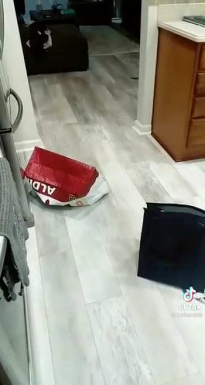 Self bagging