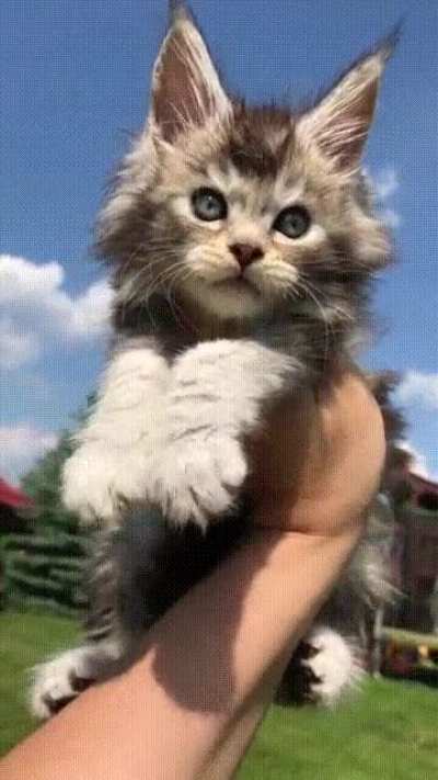 Шагом марш!