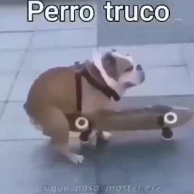 locura 🤪🤙locura 🤪🤙locura 🤪🤙locura 🤪🤙locura 🤪🤙locura 🤪🤙locura 🤪🤙locura 🤪🤙locura 🤪🤙locura 🤪🤙locura 🤪🤙locura 🤪🤙locura 🤪🤙locura 🤪🤙locura 🤪🤙locura 🤪🤙locura 🤪🤙locura 🤪🤙locura 🤪🤙locura 🤪🤙locura 🤪🤙locura 🤪🤙locura 🤪🤙locura 🤪🤙