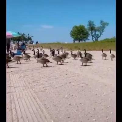 Robots on the move