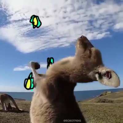 JUGGLAROO