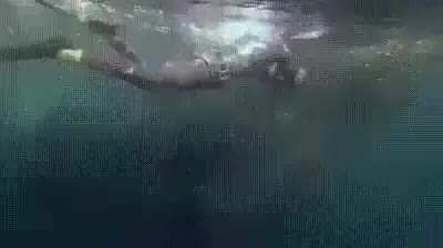 Didn't even see it coming