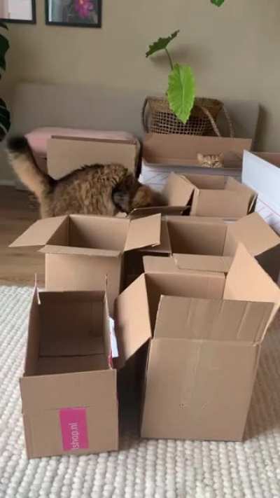 Это просто празд<wbr>ник какой<wbr>-то!