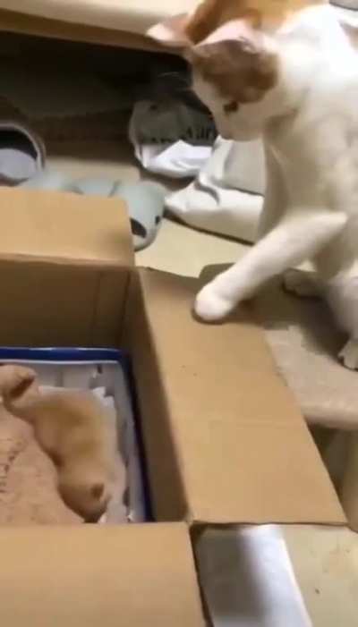 it sucks when parents dont have patience