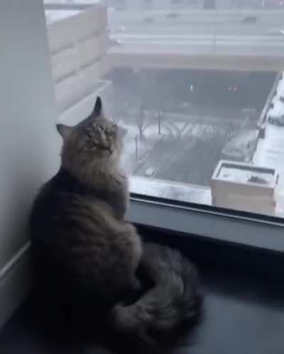 Первый снег