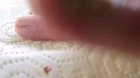Thanks i hate nail drilling