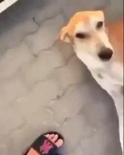 Poor child