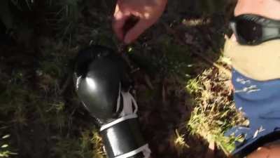 Speaks for itself