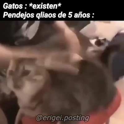 Simplemente la cruda realidad