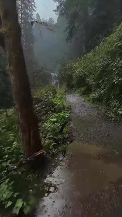 Pretty Rainy Day