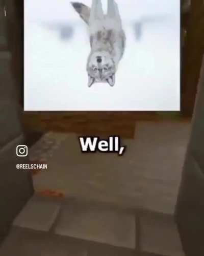 Losercity Effect