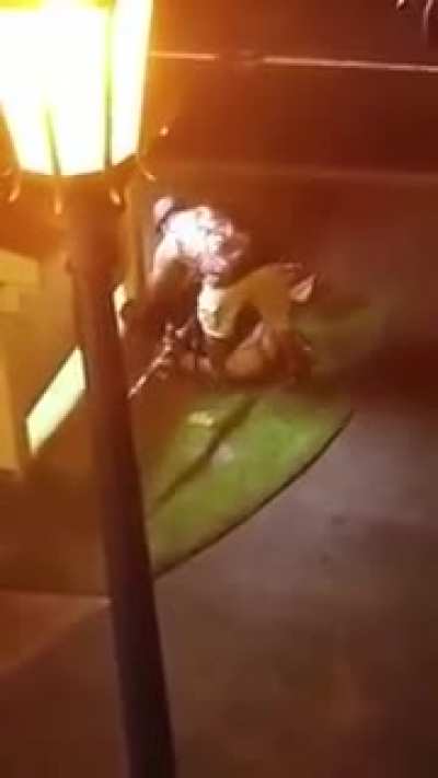 They took it Outside