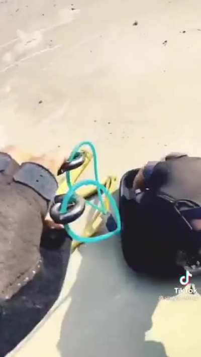 Amazing shot with a slingshot