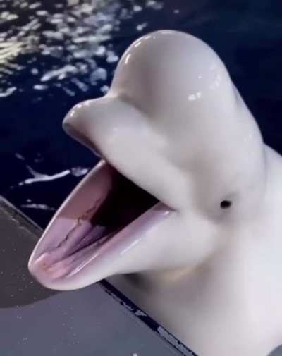 Hope this counts