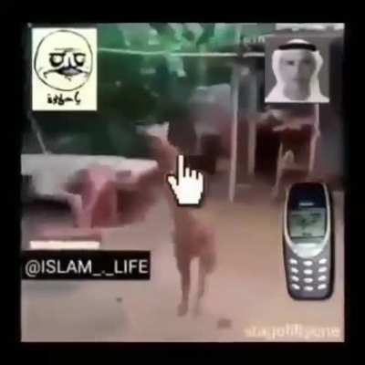 بعقب لحم الخنزير الحلال 🤮🤮😨😨😞<wbr>😞