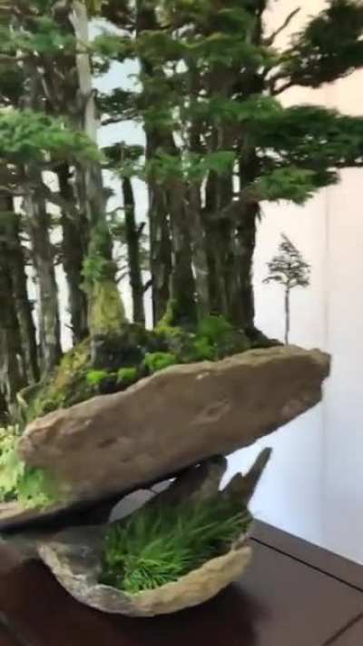 Bonsai forest